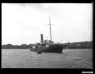 SS CAPTAIN COOK pilot steamer anchored to buoy, Watsons Bay, 9 March 1924