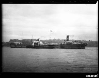 SS BRITISH FERN