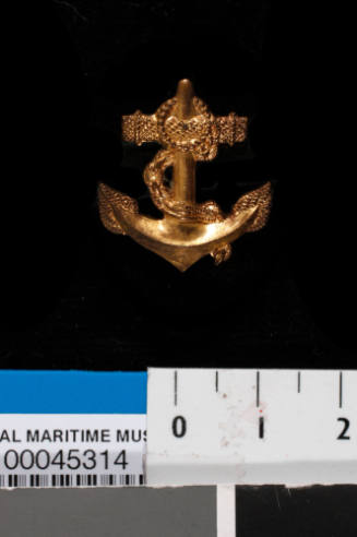 Gold anchor pin [1]