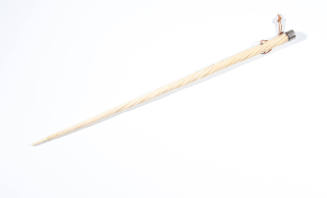 Narwhal tusk silver capped walking stick