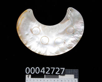 Golden pearl shell in the shape of kina