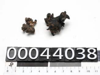 Two pieces of black coloured coral