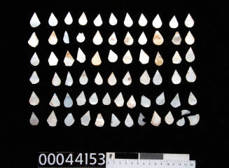 Sixty-three pieces of pearl shell, cut into a teardrop shape