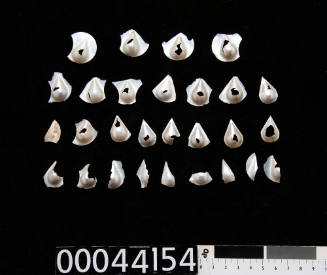 Twenty-eight teardrop shaped blister pearls, some on pearl shell