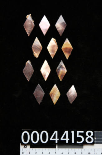 Twelve pieces of trimmed and polished pearl shell, of brown and pink colouring, in the shape of a rhombus