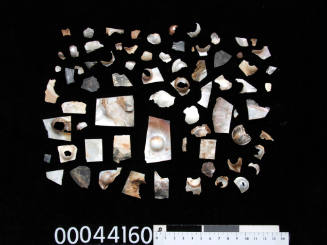 Seventy-two fragments of pearl shell and blister pearls