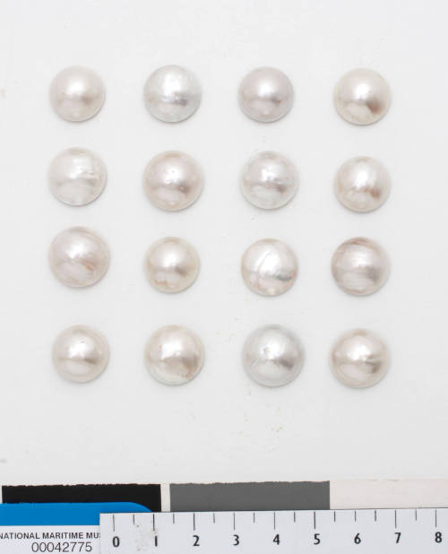 Sixteen medium sized cultured half pearls (or mabe) with shell bases