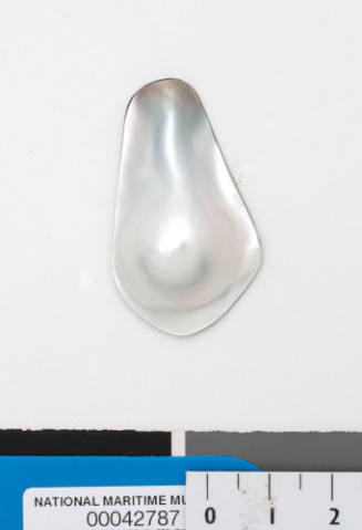 Cultured blister pearl on shell