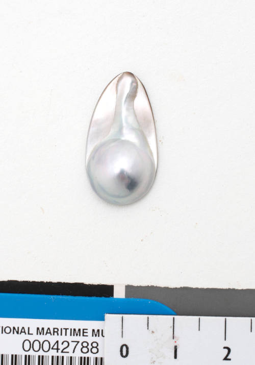 Cultured blister pearl on shell