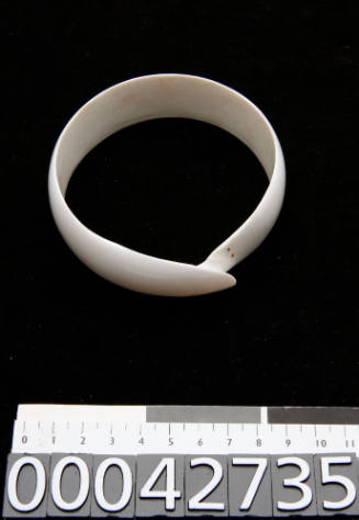 Bangle carved from a single Leopard Shell (Conus leopardis)