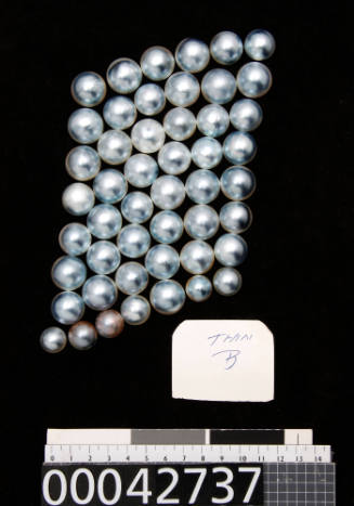 Forty-nine low grade black cultured half pearls (or mabe pearl), of assorted sizes and thin quality, with nucleus removed and polished shell attached to back