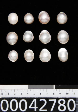 Twelve oval shaped cultured half pearls (or mabe pearls) with shell bases