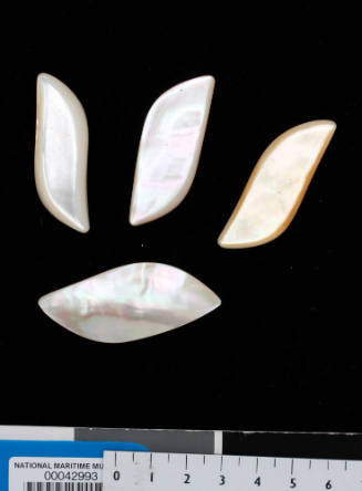 Polished shell pieces