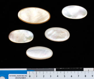 Five oblong shaped pieces of gold-lip oyster shell