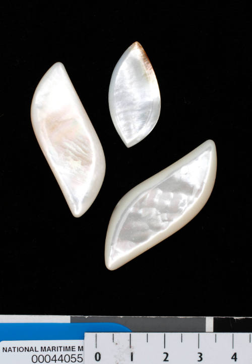 Three pieces of trimmed and polished pearl shell