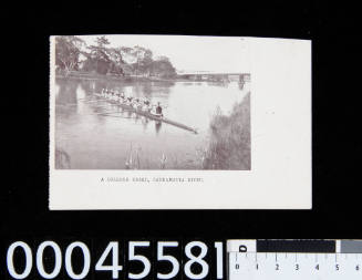 A college eight, Parramatta River