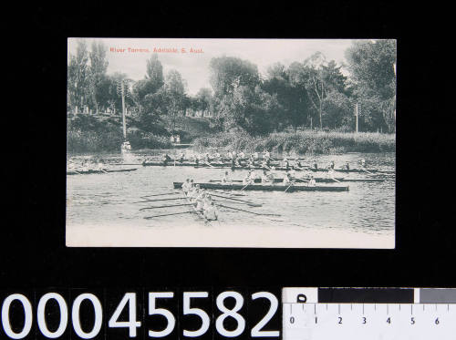 River Torrens, Adelaide, South Australia