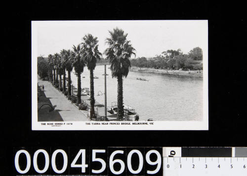 The Yarra near Princes Bridge, Melbourne, Victoria