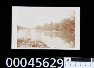 On the Murray. The "Straight", Cobram Rowing Club's Course