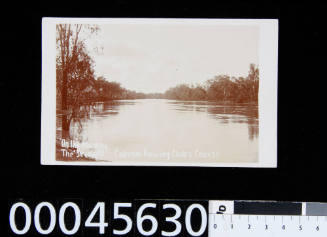 On the Murray, The "Straight", Cobram Rowing Club's Course