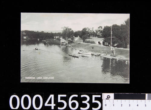 Torrens River, Adelaide