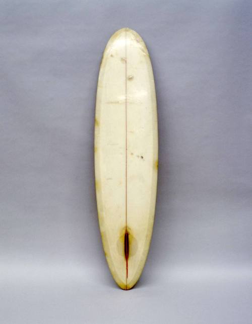 Wayne Lynch Involvement Surfboards