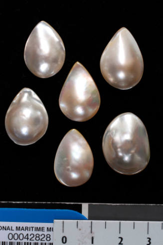 Six teardrop shaped cultured blister pearls on pearl shell