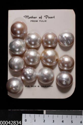 Thirteen cultured half pearls (or mabe pearls) with shell bases