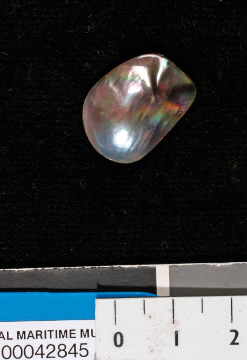 Cultured blister pearl on shell