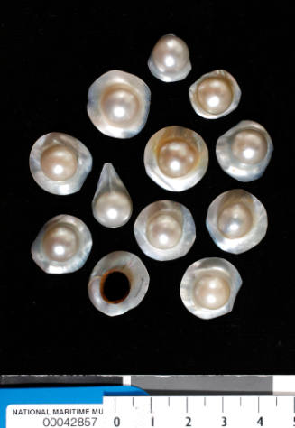 Cultured half-pearls with exposed nuclei