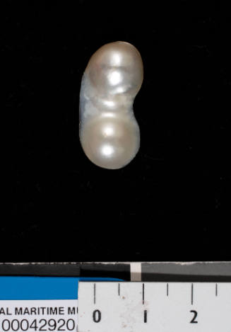 Two attached cultured blister pearls with shell nuclei