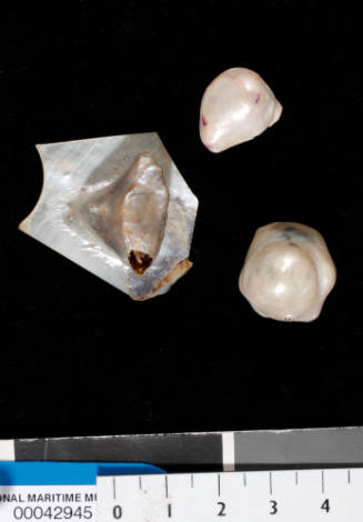 Three blister pearls, possibly natural. One sits on pearl shell.