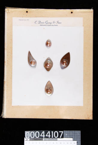 An album page with five blister pearls attached with double-sided tape