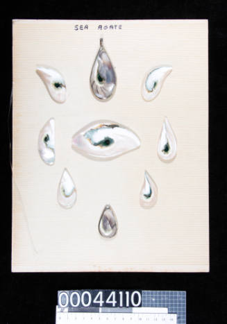 An album page with nine pieces of sea agate, attached with double-sided tape