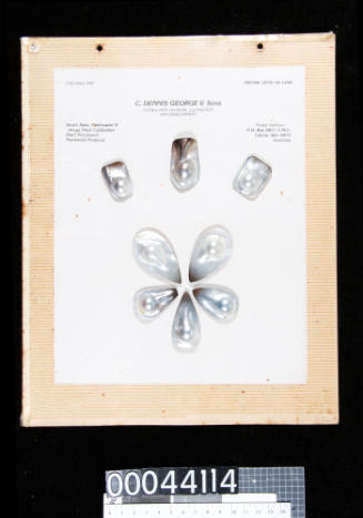 An album page with eight blister pearls on cut and polished pearl shell, cut into teardrop and rectangular shapes, attached with double-sided tape