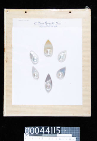 An album page with six blister pearls on cut and polished pearl shell, cut into teardrop shapes, attached with double-sided tape