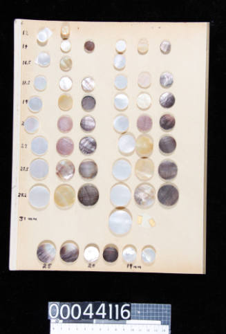 An album page with fifty-three pearl shell disks and pearl shell buttons, attached with double-sided tape