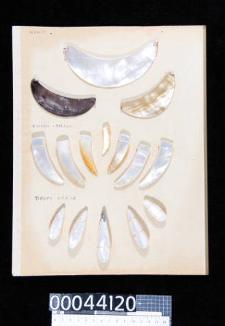 An album page with fifteen pieces of trimmed and polished pearl shell in Kina, tusk and drop shapes, attached with string and double sided tape

