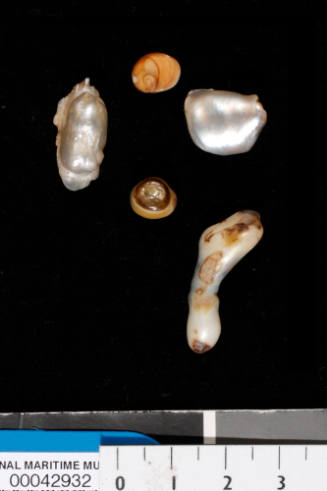 Five cultured blister pearls
