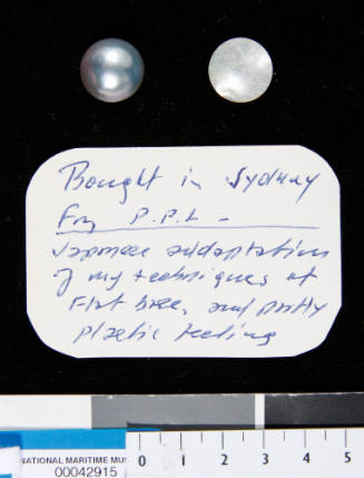 Cultured half pearl (or mabe pearl) with the shell back removed to show inner nucleus