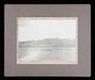 Photograph of four Eights racing on the Parramatta River, Sydney
