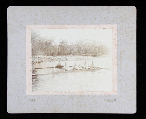 Sydney Rowing Club Fours and a single scull training on the Parramatta River, Sydney