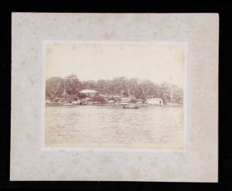 Photograph of the Sydney Rowing Club Branch on the Parramatta River at Abbotsford