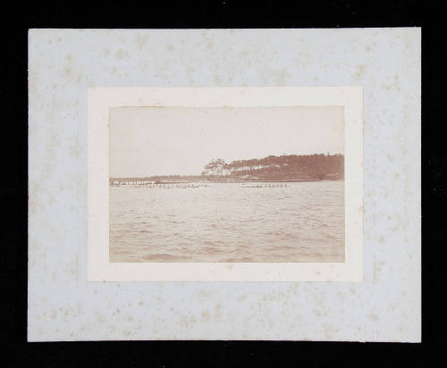 Photograph of five Eights rowing on the Parramatta River, Sydney