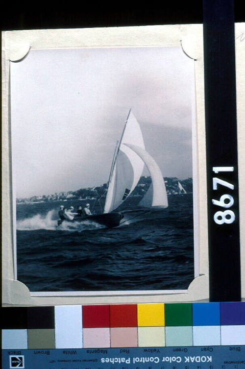 VIOLA 16 foot skiff, Drummoyne Sailing Club