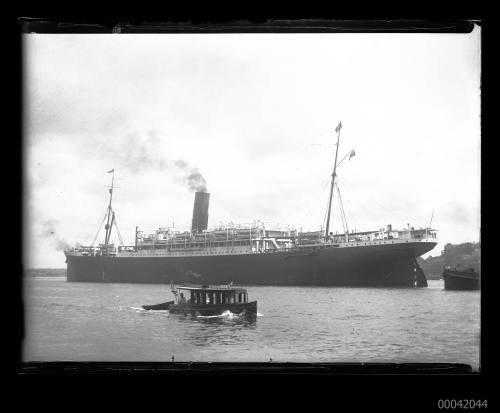 SS EURIPIDES, Aberdeen Line, arriving from Brisbane via Newcastle on Sunday Morning 2 March 1924