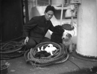 Seaman on YAHIKO MARU with two terriers and a litter of puppies