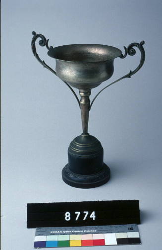 Pyrmont Flying Squadron,  Rob Roy Cup, won by M. Walsh, 31 January 1937