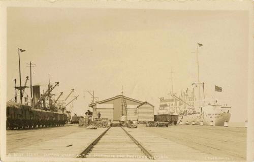 A busy scene, shipping wheat at the deep water pier, Portland, Victoria