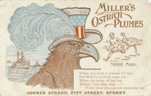 Miller's Ostrich Plumes